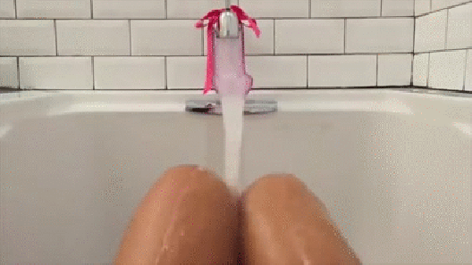 The WaterSlyde ZP The WaterSlyde ZP