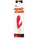 Money Bunny